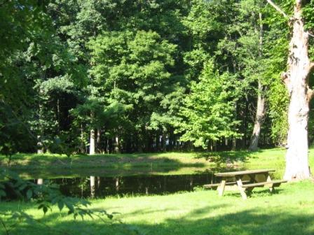 Pond